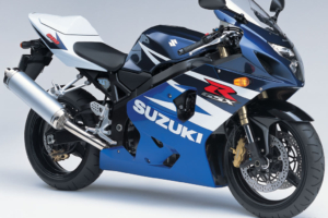 2009 Suzuki GSX R600530219874 300x200 - 2009 Suzuki GSX R600 - Suzuki, R600, 500R, 2009